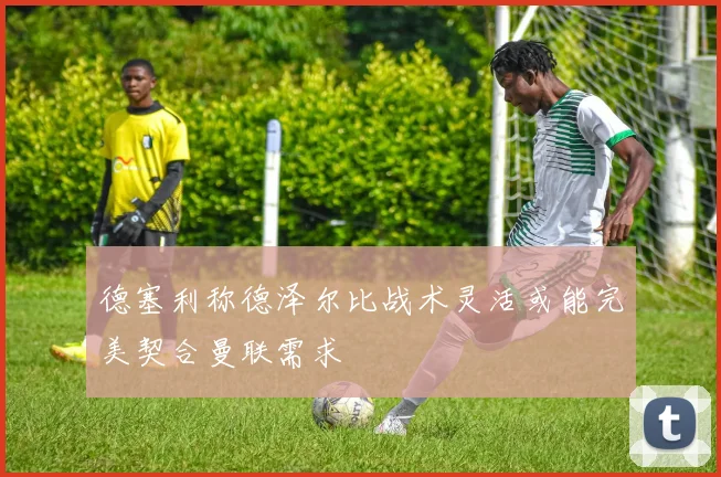 德塞利称德泽尔比战术灵活或能完美契合曼联需求